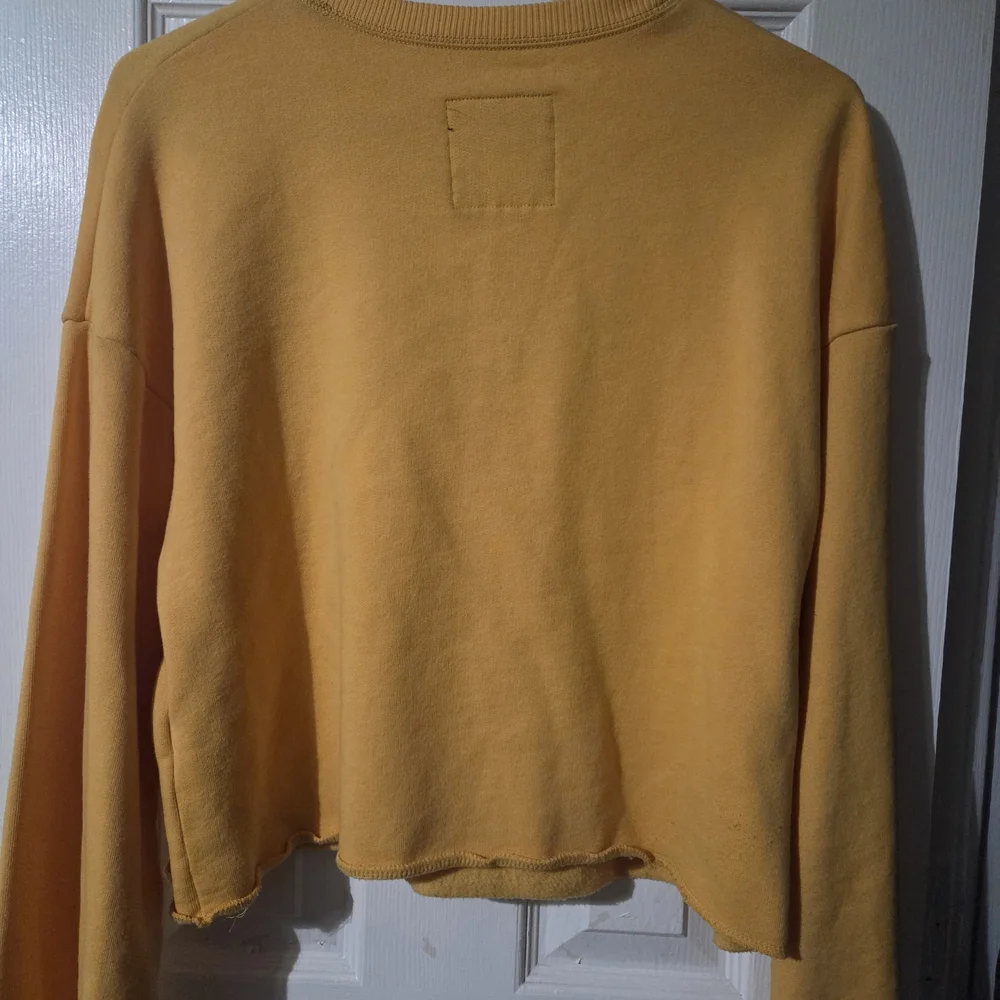 Hollister California Mustard Cropped Hoodie - Picture 4 of 4
